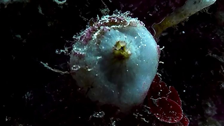 Dokunduktan sonra uyuşma hissetti!