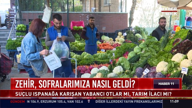 Pazarda ıspanak satışı ne durumda?