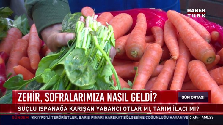 Pazarda ıspanak satışı ne durumda ?