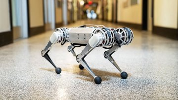'Mini çita': Ters takla atabilen robot