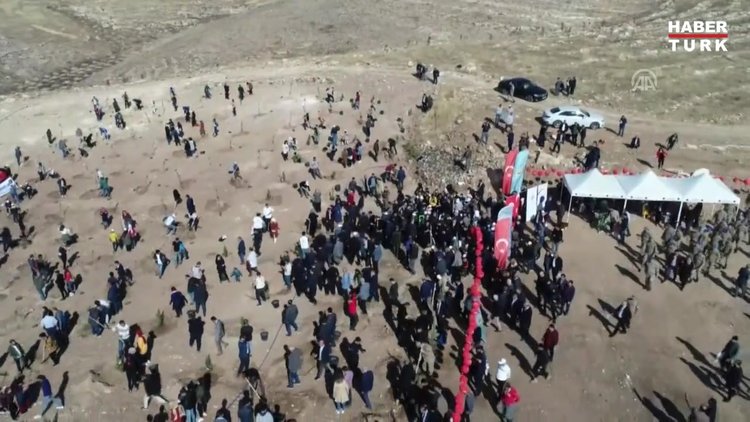 Batman'da fidan dikme kampanyasında mezar bulundu