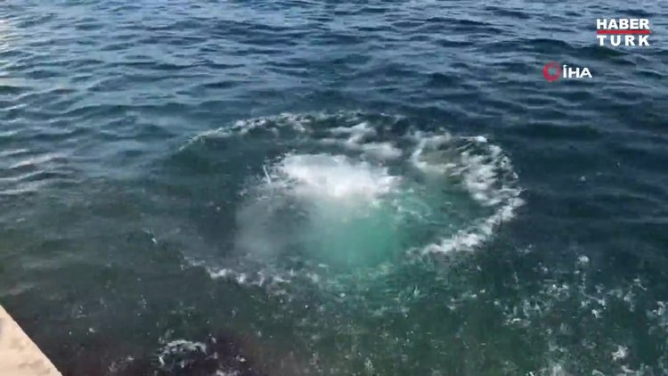 Kasım ayında deniz keyfi