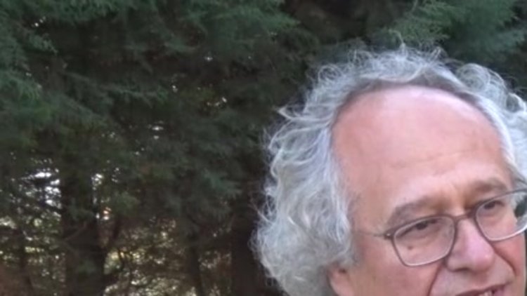 İstanbul'da sinek şikayetleri arttı;iklim değişikliği etkili