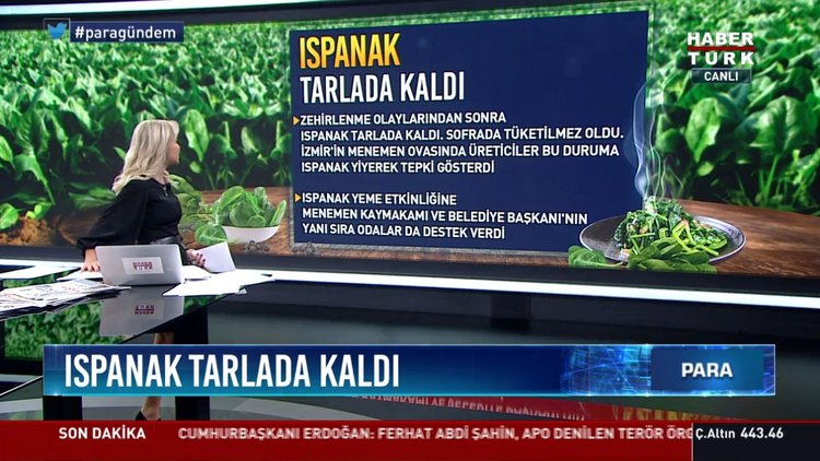 Ispanak tarlada kaldı