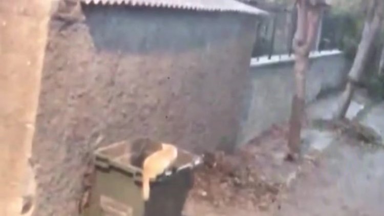 İngiliz eski istihbarat subayının Büyükada'dan ayrılma anı