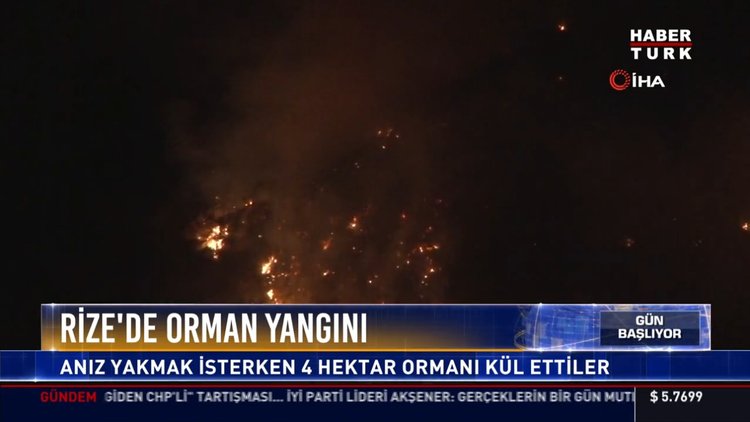 Rize'de orman yangını