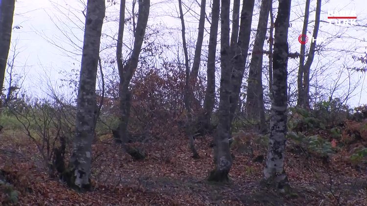 Ordu'daki seri katil, kurbanları ile pazarlık yapıp, geceleri katletmiş