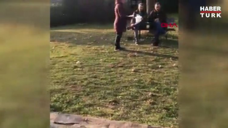 Lüks sitedeki kedi ölümleri hayvanseverleri ayağa kaldırdı