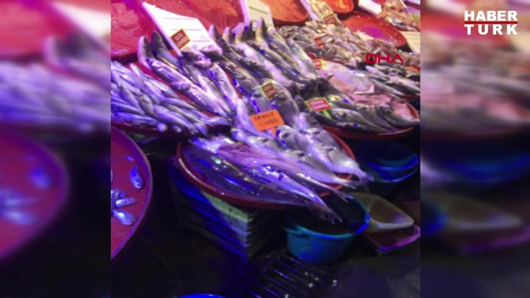 Tezgahında zehirli 'balon balığı' sergiledi