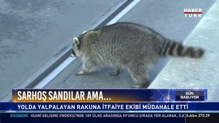 Sarhoş sandılar ama...