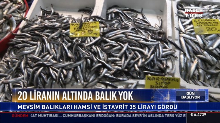 20 liranın altında balık yok
