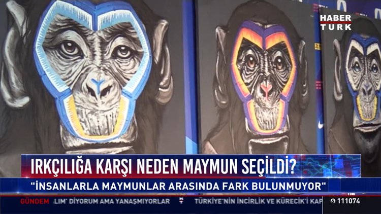 Irkçılığa karşı  neden maymun seçildi?