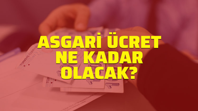 2020 yılı Asgari ücreti belli oldu mu? Asgari ücret ne kadar olacak?