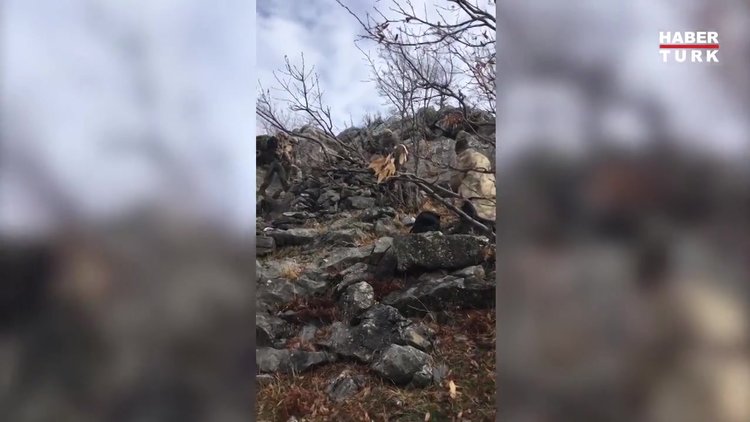 Bitlis ve Siirt'te Kıran-8 başladı