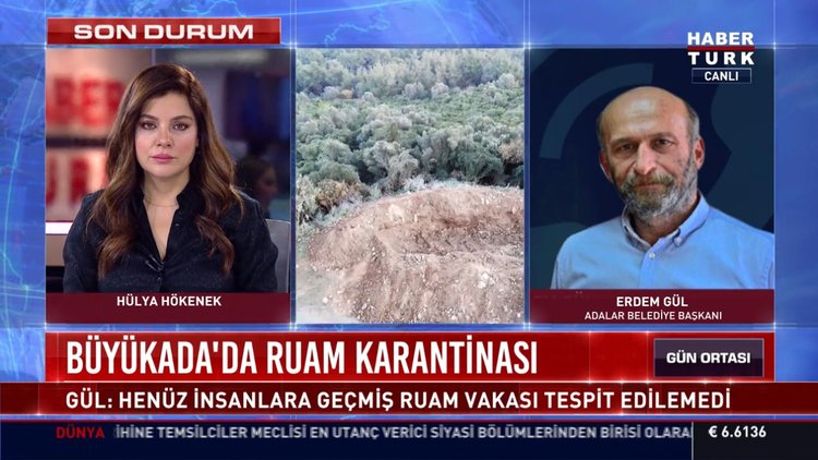 Büyükada'da 81 at itlaf edildi! Adalar Belediye Başkanından açıklamalar