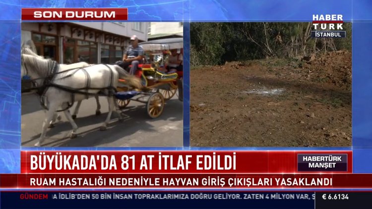 Ruam hastalığı nedeniyle hayvan giriş çıkışları yasaklandı!