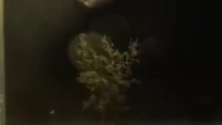 Deniz ulaşımına lodos engeli