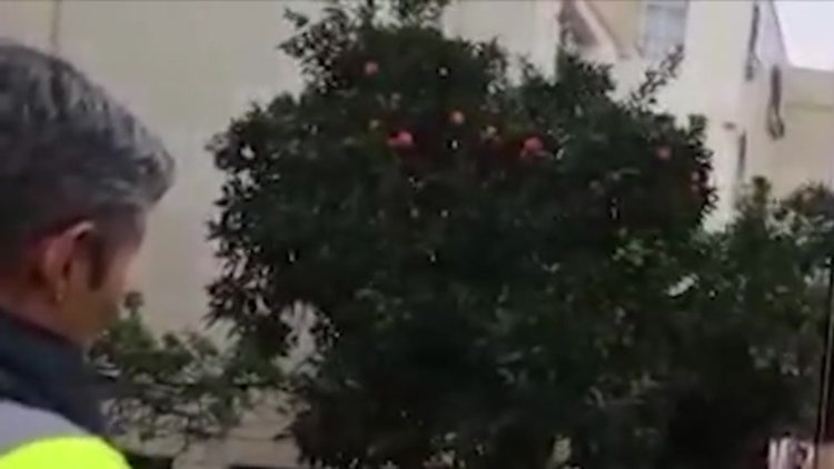 Tarsus'ta park halindeki araç alev alev yandı