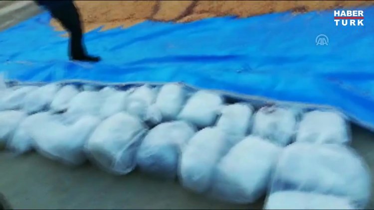 Mısırların arasından 221 kilo esrar çıktı