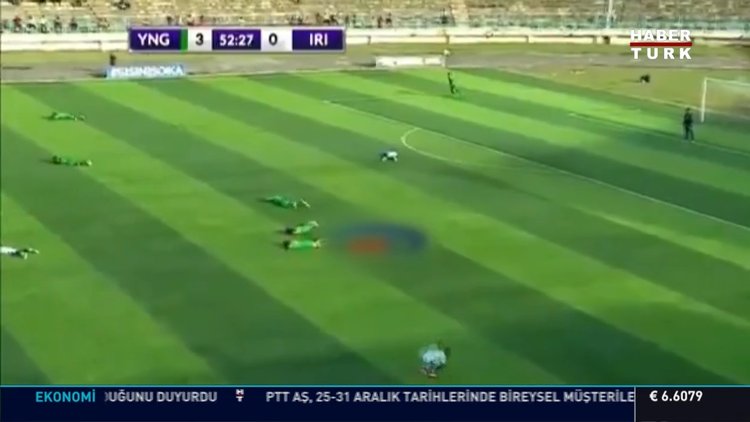 Sahayı arılar bastı