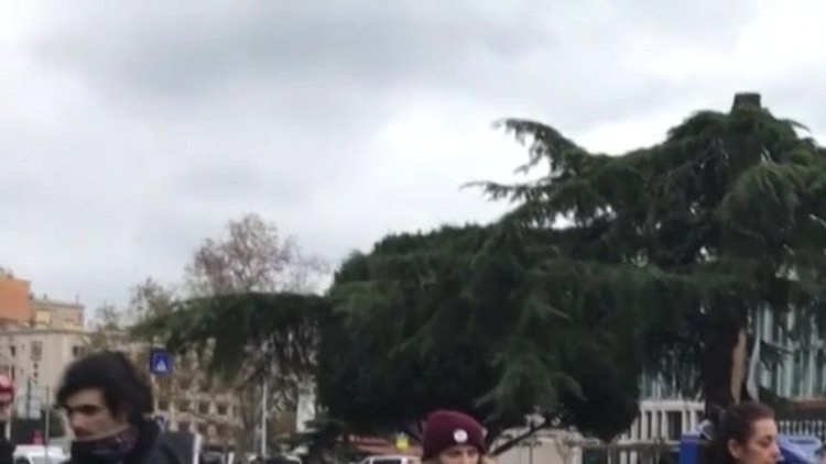 "Büyükada'ya en az 30'dan fazla veterinere ihtiyaç var"