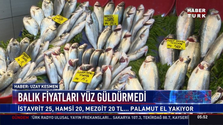 Balık fiyatları yüz güldürmedi