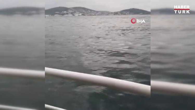 Büyükada açıklarında vapur arızalandı, yolcular denizde mahsur kaldı