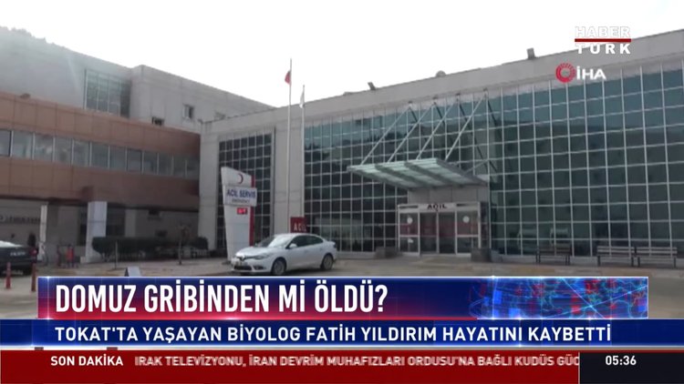 Domuz gribinden mi öldü?