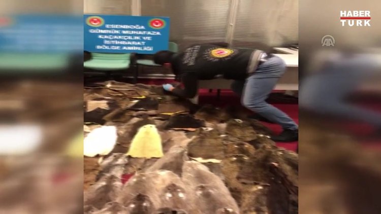 Esenboğa Havalimanı'nda 240 kunduz postu ele geçirildi