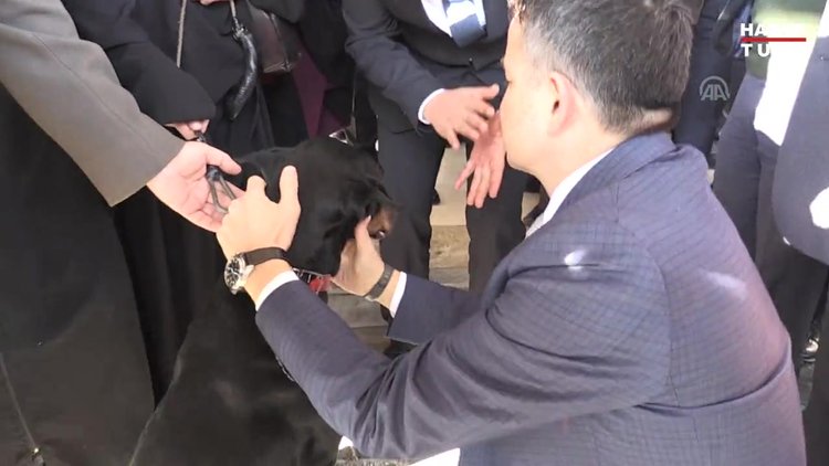 Görme yetisini kaybeden köpeğe Bakan Pakdemirli sahip çıktı