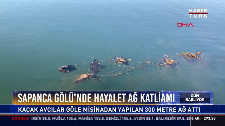 Sapanca Gölü'nde hayalet ağ katliamı