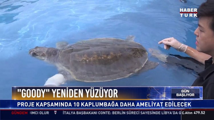 "Goody" yeniden yüzüyor