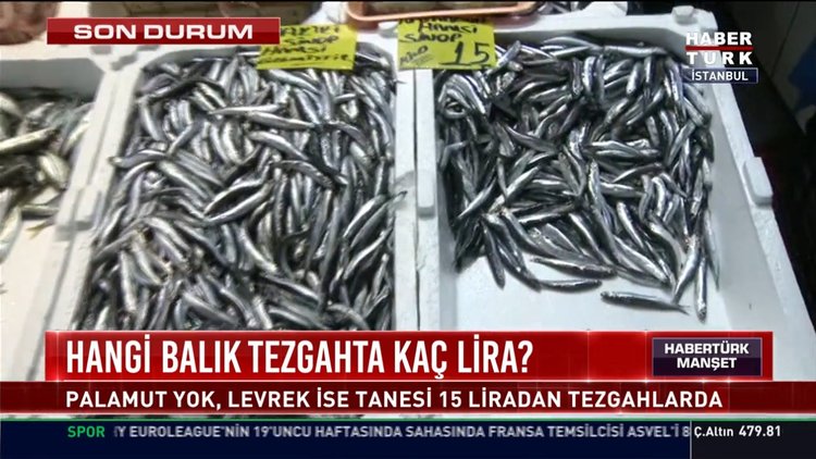 Hangi balık tezgahta kaç lira?