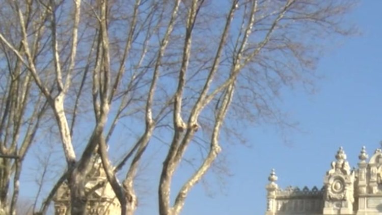 Dolmabahçe Sarayı'nda yapılan restorasyon yüz yıllık gazete kupürleri bulundu