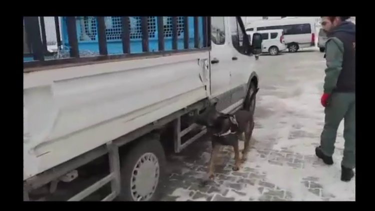 Zehir tacirleri 'Rexo' darbesi