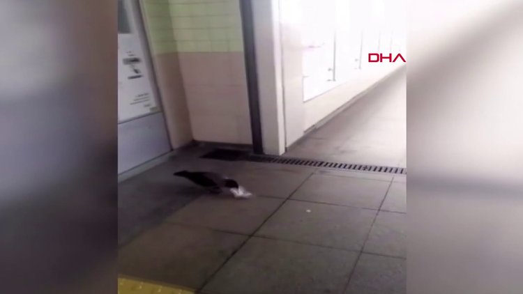 Akbiline yükleyeceği parasını kargaya kaptırdı