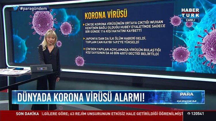 Dünyada Korona Virüsü alarmı!