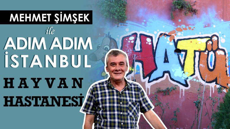 Hayvan Aşılama ve Tedavi Ünitesi