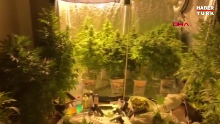 Kartal'da uyuşturucu serasına dönüştürülen eve operasyon kamerada