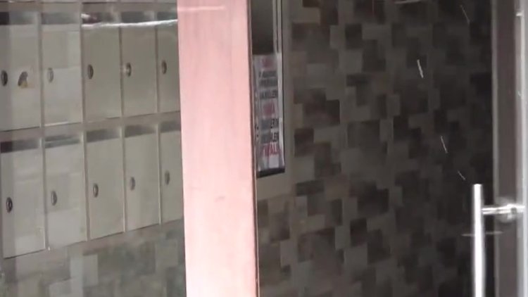 Şişli'deki "domuz bağı cinayeti"nde yeni gelişme! Korkunç olayın sırrı çözülüyor