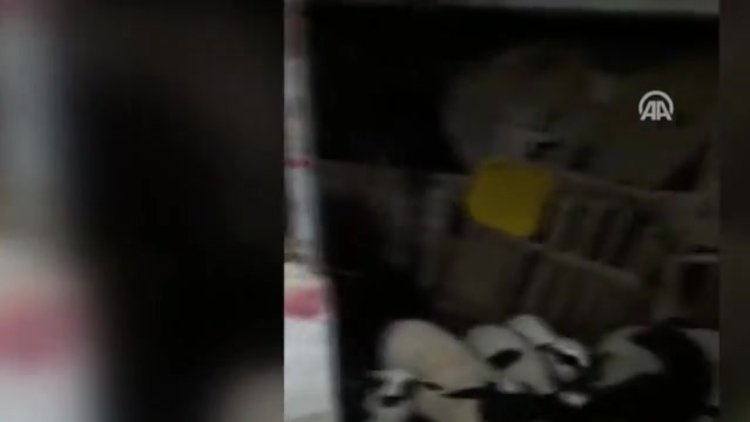 Manisalı besici deprem anını kaydetti
