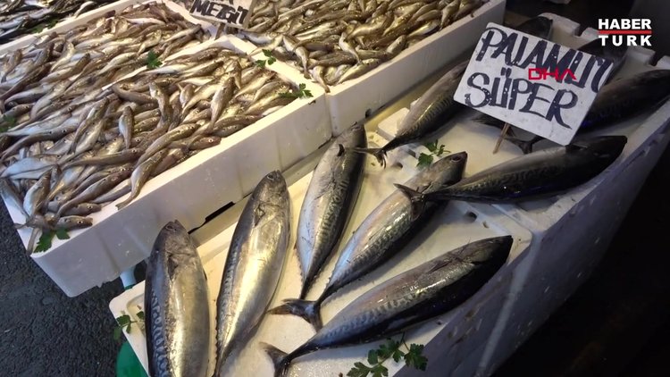 Karadeniz'de palamut aylar sonra geri döndü, fiyatı yüzde 75 düştü