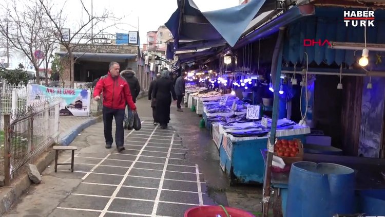 Karadeniz'de palamut diye satılan balık tombik çıktı