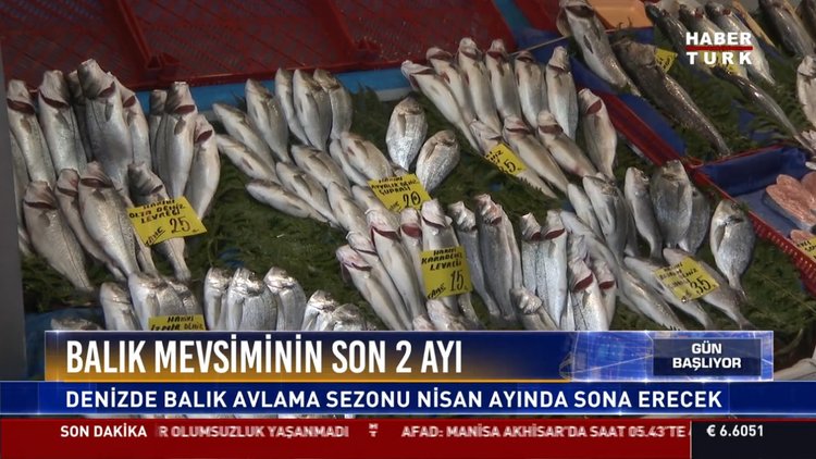 Balık mevsiminin son 2 ayı