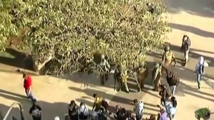 Şili'de sokak gösterileri yeniden başladı, Ricky Martin hedef oldu!