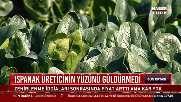 Ispanakta fiyat yükselişe geçti