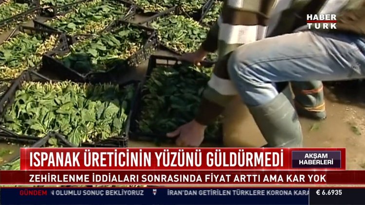 Ispanak üreticinin yüzünü güldürmedi