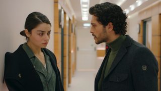 Elvan'ın işlediği cinayeti örtbas etmek karşılığında Firuze, Ertan ile evlendi.