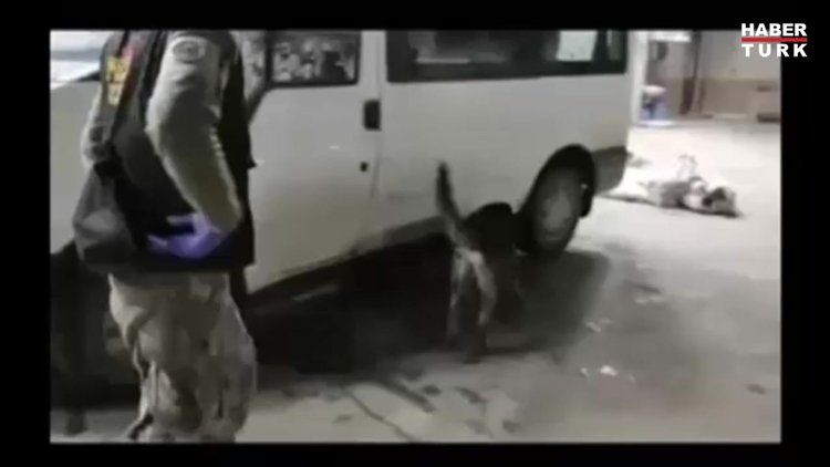 'Rexo' yine kaçırmadı: 37 kilo