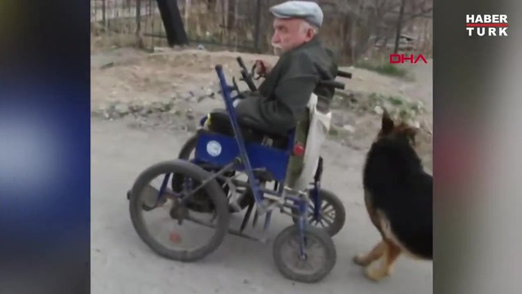 Köpek, sahibinin 'yol arkadaşı' oldu